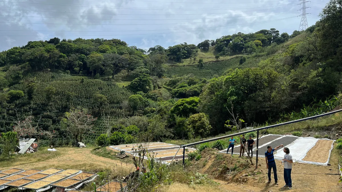 Love Coffee Roasters